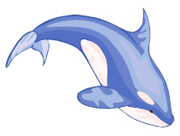 Rbn