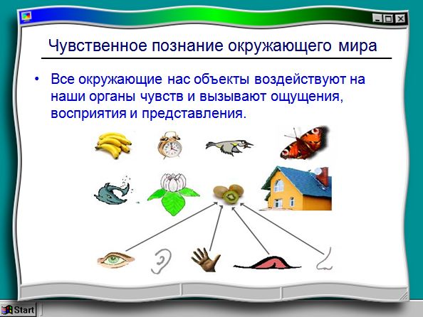 Аппликация в Детском Саду Реферат