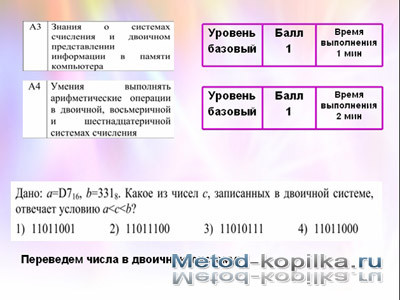 ����� 11