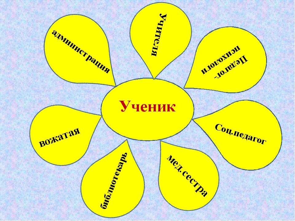 Ученик Учителя администрация Педагог-психологи Соц.педагог вожатая библиотек... Ученик Учителя администрация Педагог-психологи Соц.педагог вожатая библиотек...