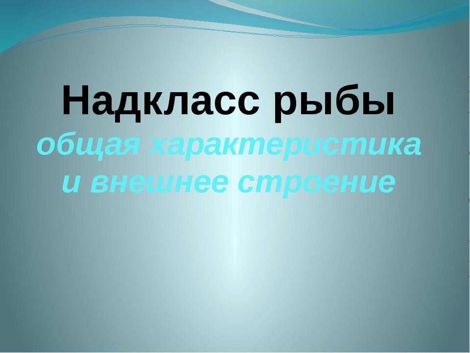 внешнее строение рыбы 960 x 720 · jpeg внешнее строение рыбы 960 x 720 · jpeg
