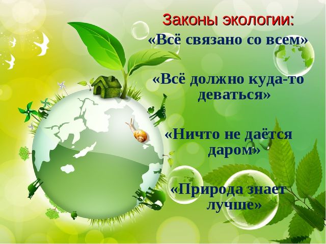 Переработка мусора в россии презентация
