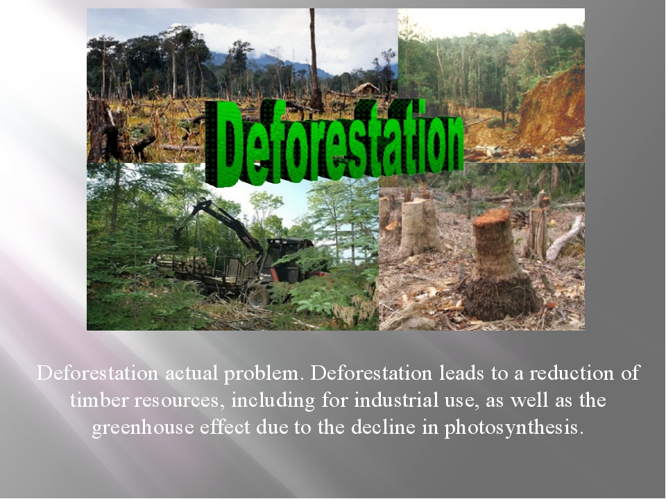 Deforestation actual problem. Deforestation leads to a reduction of timber r... Deforestation actual problem. Deforestation leads to a reduction of timber r...