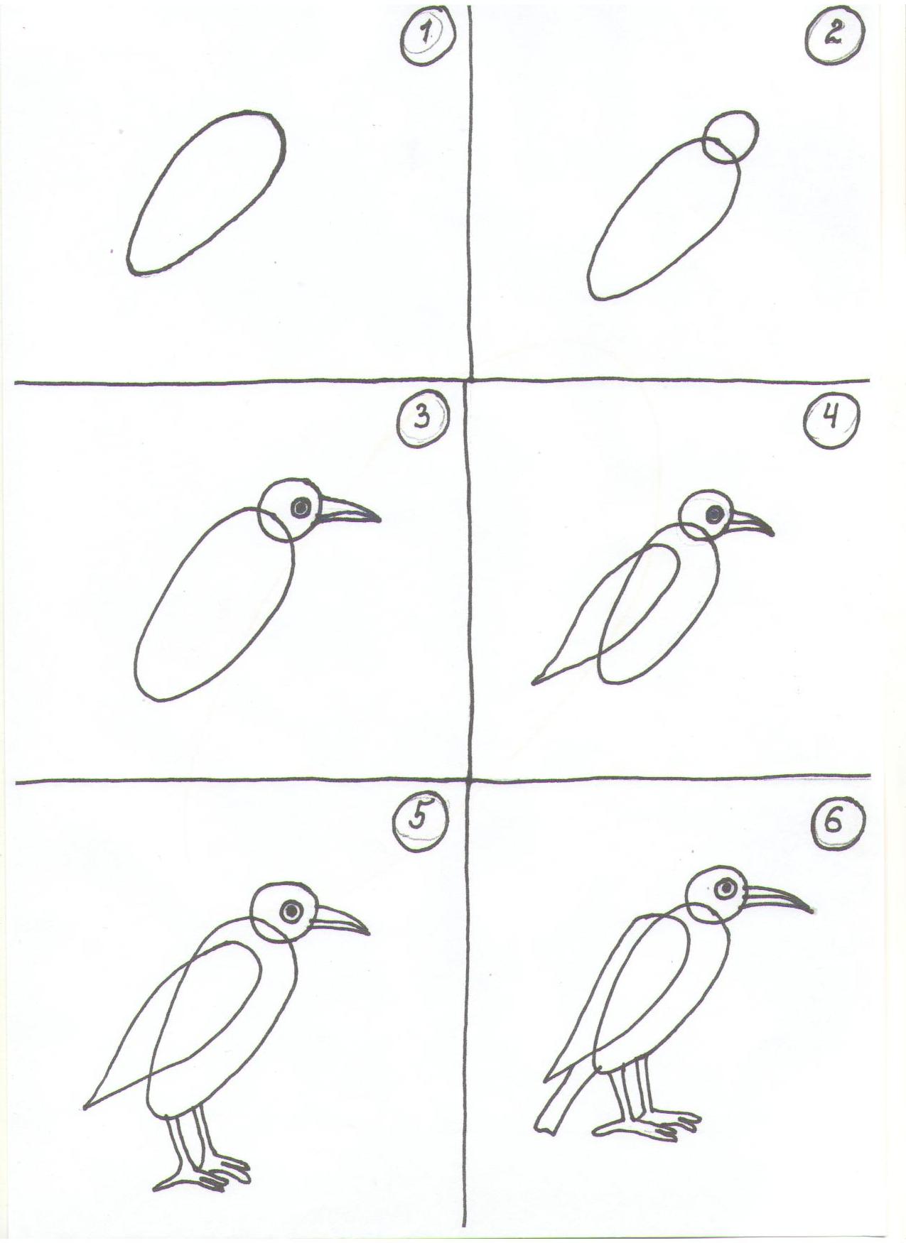 Рисунок птицы 5 класс. Пошаговая схема рисования Грача. Поэтапное рисование птиц. Поэтапное рисование птиц для детей. Схема рисования птицы в подготовительной группе.