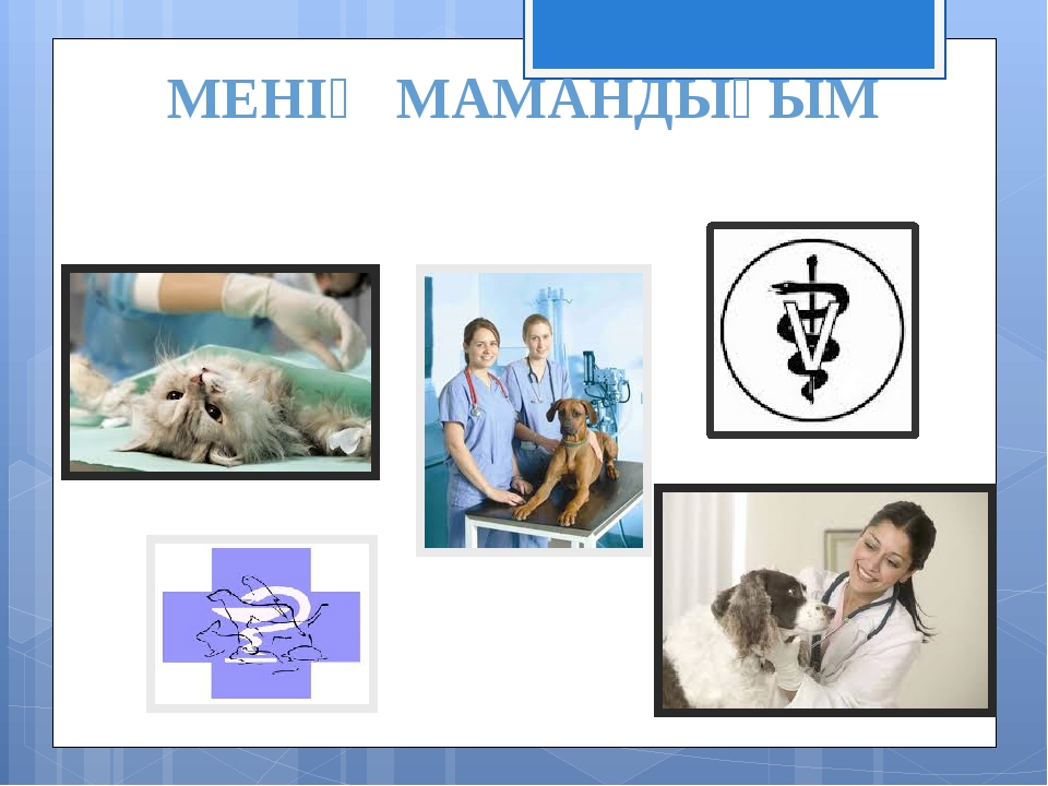 МЕНІҢ МАМАНДЫҒЫМ МЕНІҢ МАМАНДЫҒЫМ