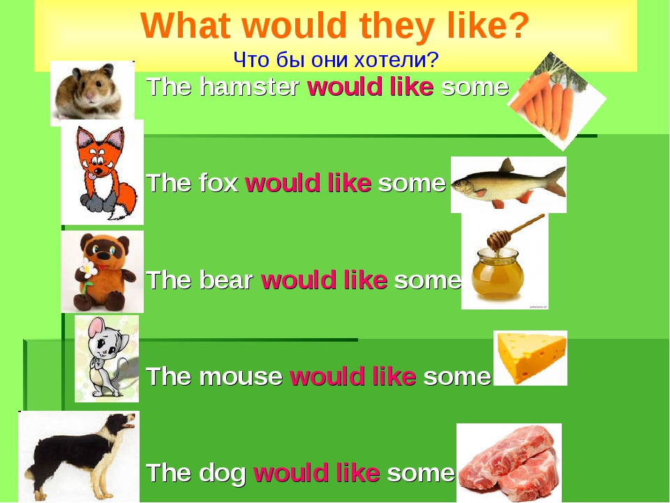 The hamster would like some The fox would like some The bear would like some... The hamster would like some The fox would like some The bear would like some...