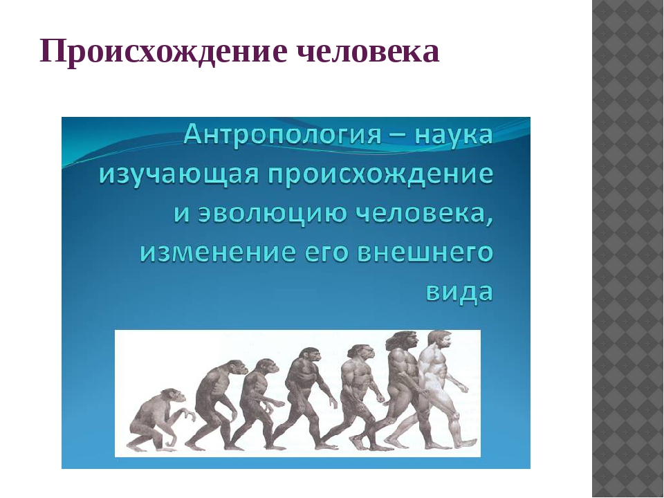 тест 11 класс происхождение человека с ответами