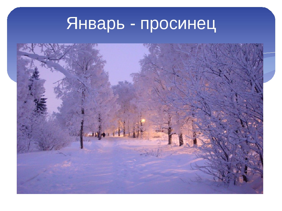 Проявить январь. Зима декабрь. Декабрь природа. Декабрь картинки. Зима январь.