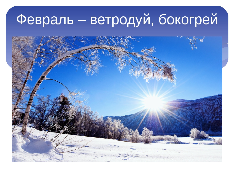зимний месяц февраль. погода в алматы на месяц. целый месяц февраль. стих про февраль месяц. прогноз погоды на февраль в москве.