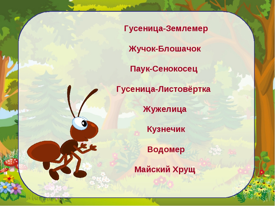 Наша жучка рассказ дуров. Счастливый жучок сказка. Счастливый жучок сказка. План жучки. Литературное чтение 3 класс в дуров наша жучка.