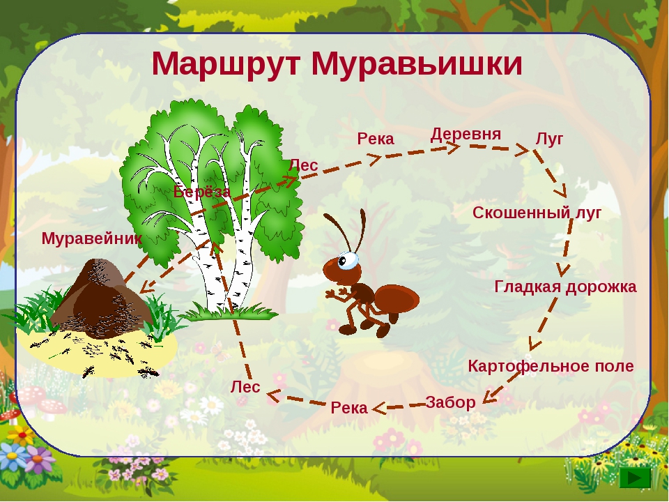 Муравьишка предлагает тебе подобрать общее. Карта путешествия муравьишки в.Бианки. Бианки в. в. "приключения муравьишки". Путешествие муравьишки Бианки.