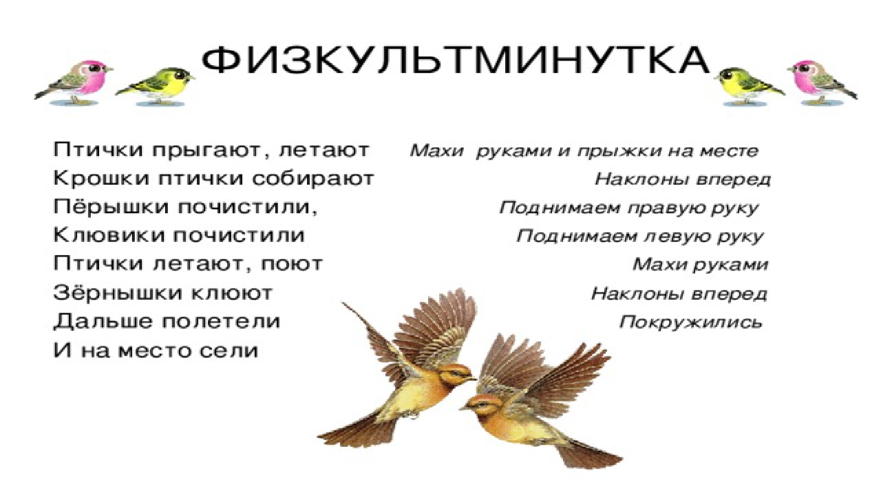 Окружающий мир 1 класс презентация где зимуют птицы 1 класс