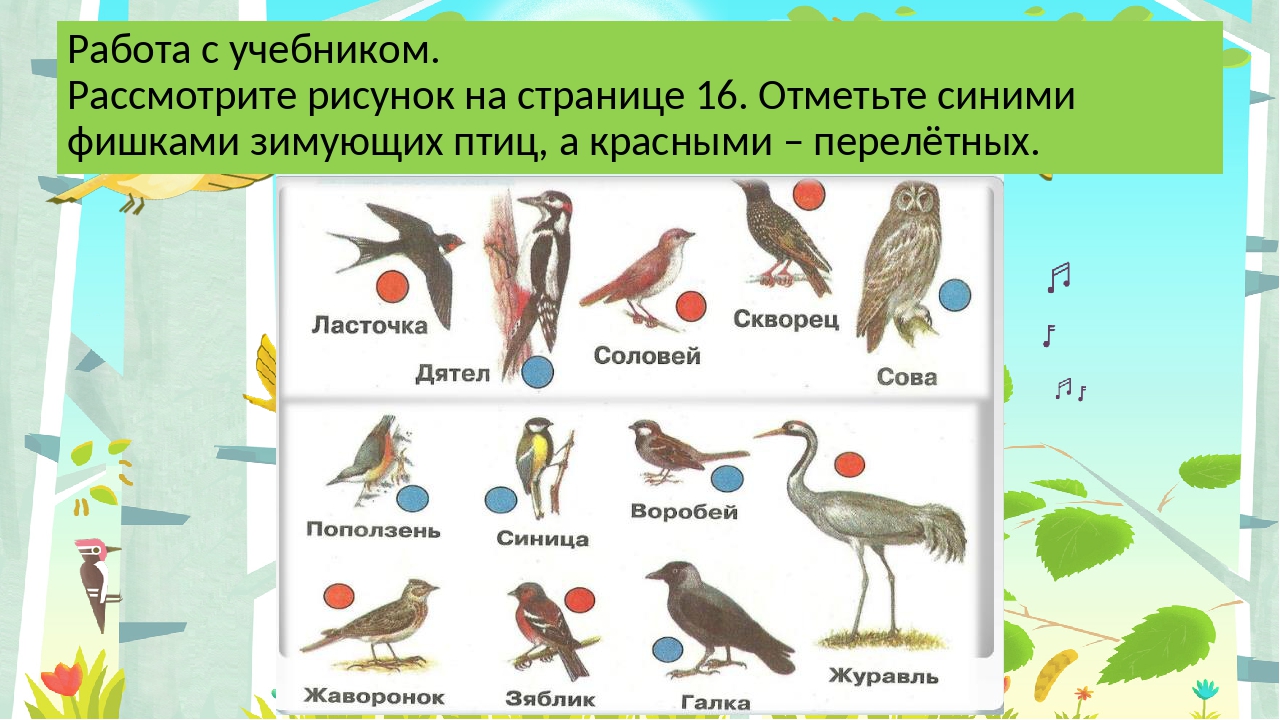 На рисунке изображен процесс который представляет собой реакцию организма перелетных птиц ответы