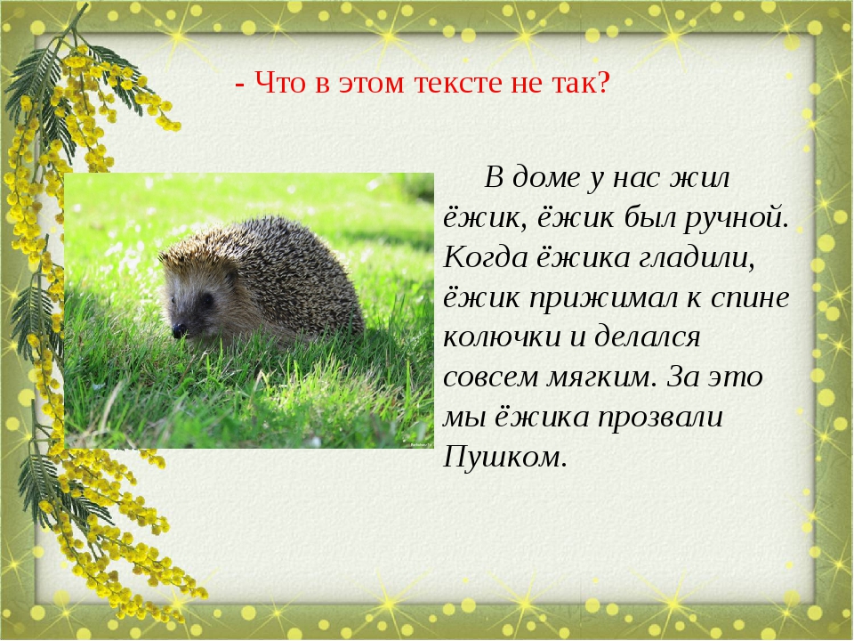 Ежик,,. Предложение про ежика. Придумать предложение про ежика. Составить предложение со словом ежик. Связь слов в предложении.