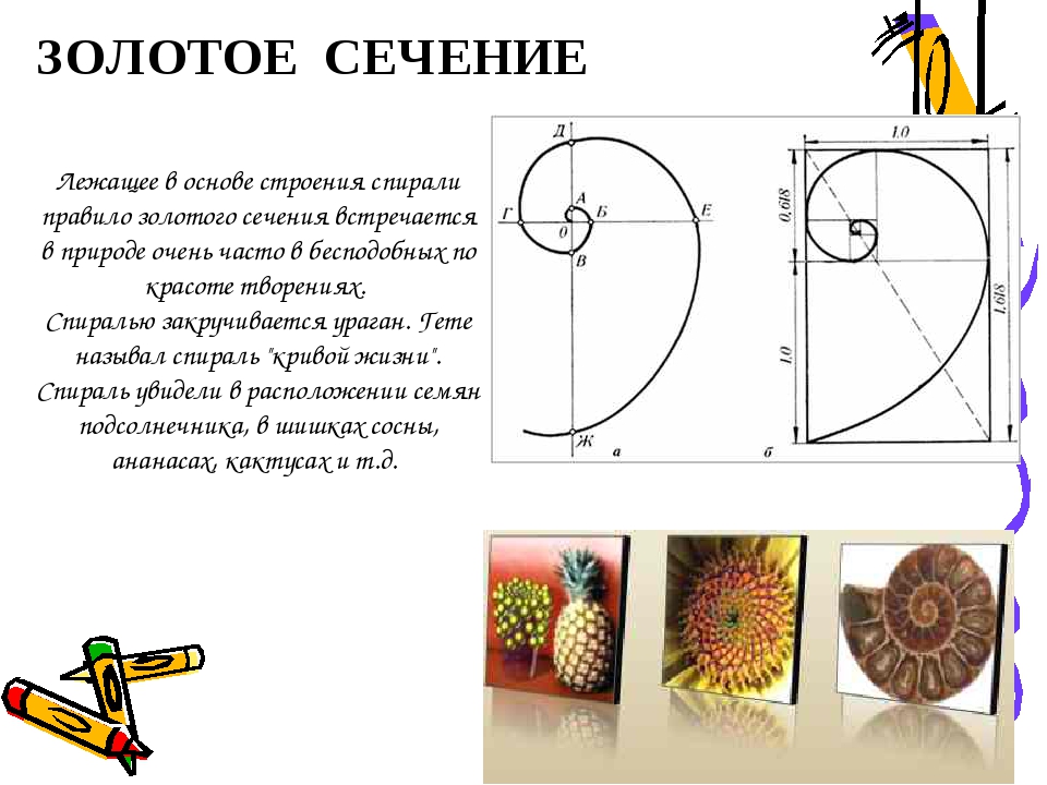 Тема для проекта золотое сечение Гармония золотого сечения - CormanStroy.ru