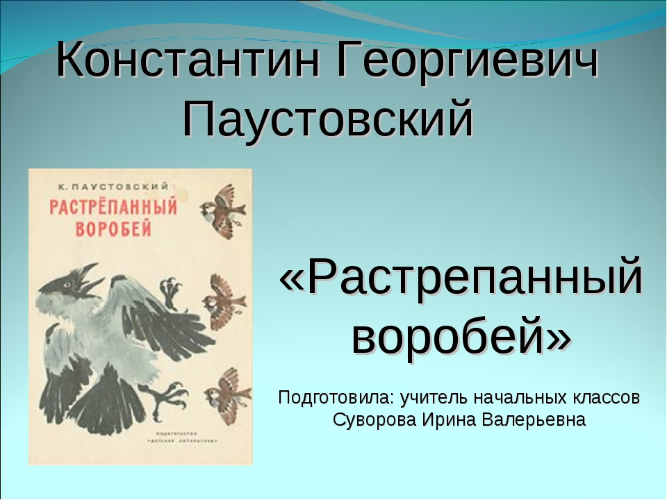 Паустовский рассказ растрепанный. Константин Георгиевич Паустовский растрепанный Воробей. План растрепанный Воробей Паустовский. План к рассказу Паустовского растрепанный Воробей. Растрёпанный Воробей Паустовский план рассказа.