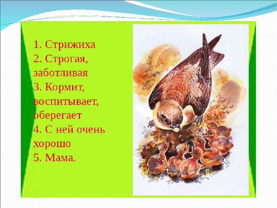 Стрижонок скрип план к рассказу 4 класс. Презентация в. Астафьев " Стрижонок скрип". Астафьев Стрижонок скрип 4 класс. Стрижонок скрип презентация. Стрижонок скрип 4 класс