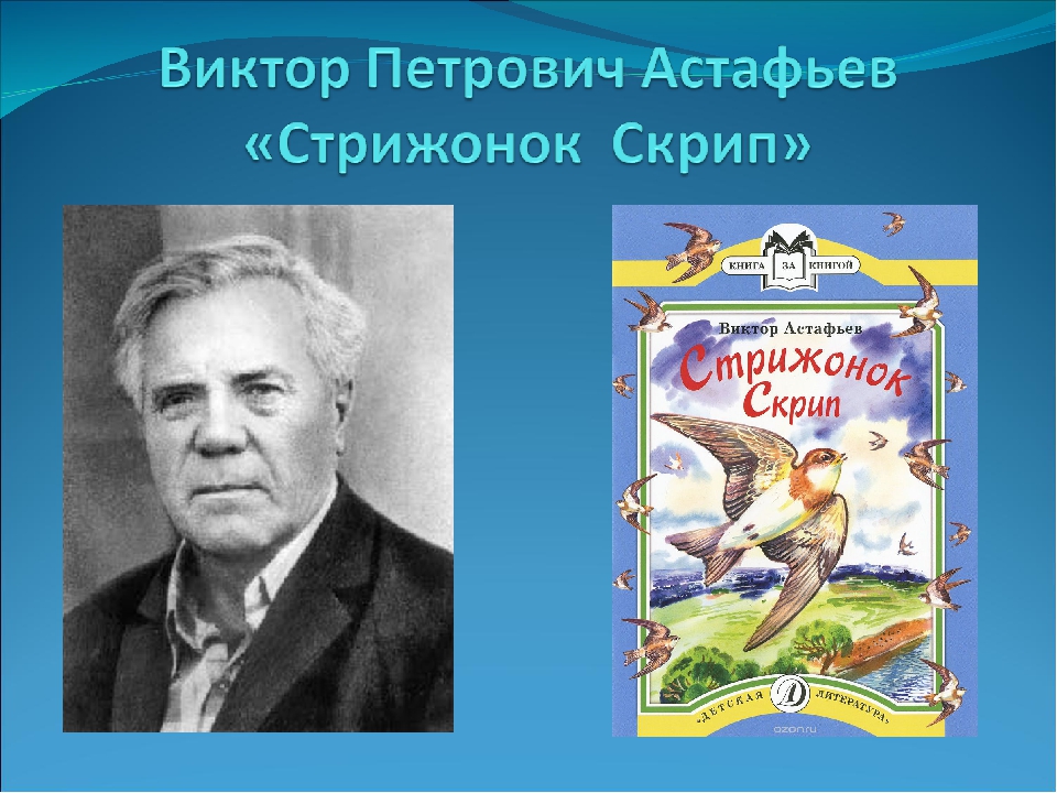 Стрижонок скрип читательский дневник краткое. Стриженок скрипастафьев.