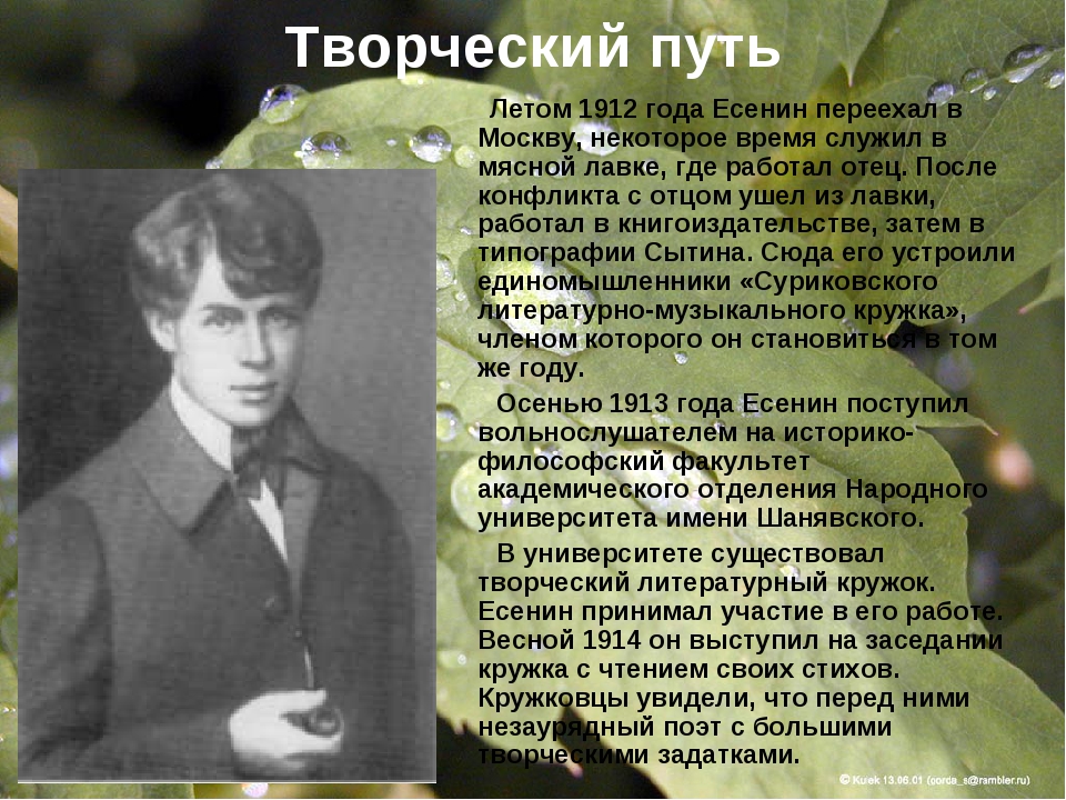 Есенин юность стих. Юность Сергея Александровича Есенина.