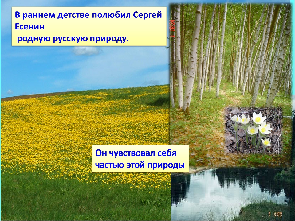 Средства выразительности лебедушка есенин. Лебёдушка Есенин презентация 4 класс. Презентация к стихотворению с.Есенина «лебёдушка»).. План по литературе 4 класс Лебедушка,Есенина. План Лебедушка Есенин 4 класс