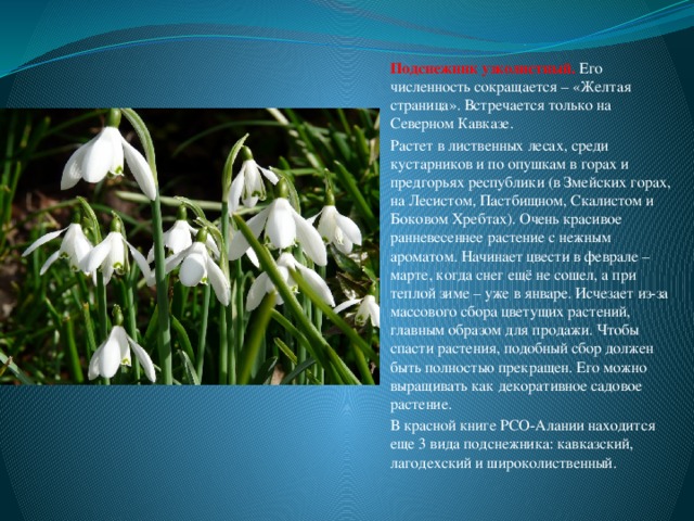 hello_html_49d0cf5a.jpg
