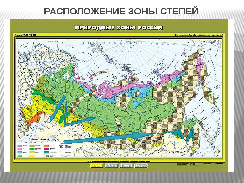 Географическое положение природной зоны степи вузы в гатчине после 11 класса