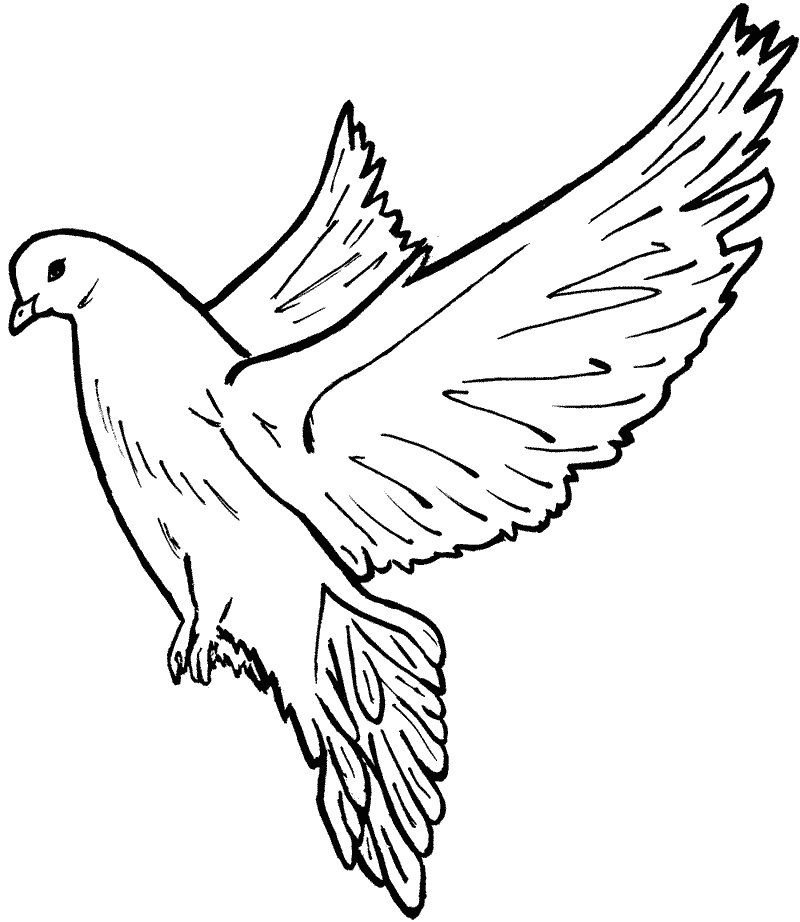 hello_html_m7a64bf8c.gif