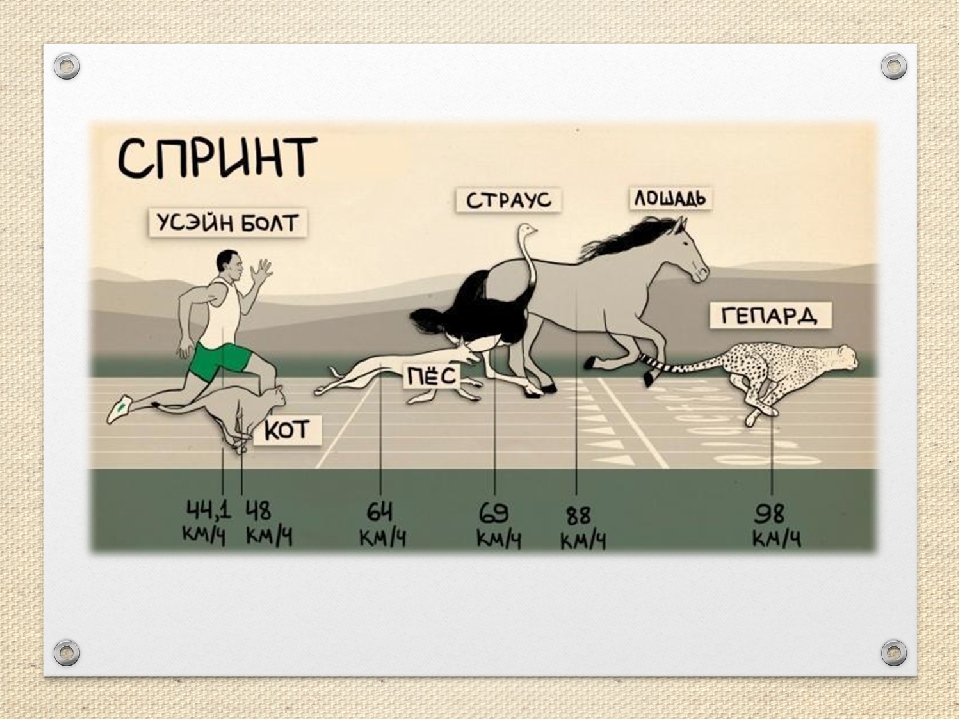 Скорость бега. Средняя скорость человека. Средняя скорость бега. Средний темп бега. Средняя скорость бега человека