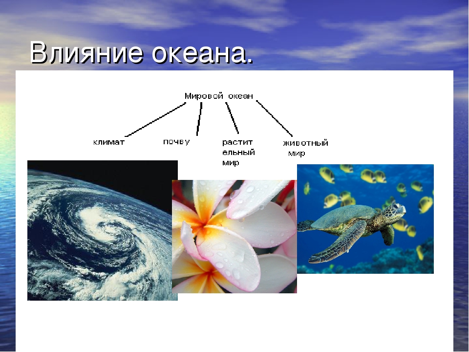 Океан 5 класс. Влияние океана на экономику.