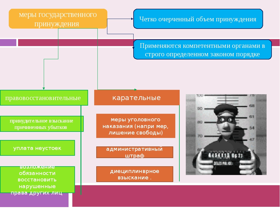 Меры принуждения применяемые к должностным лицам. Меры государственного принуждения. Государственное принуждение примеры. Меры государственного принуждения примеры. Меры государственного принуждения схема.