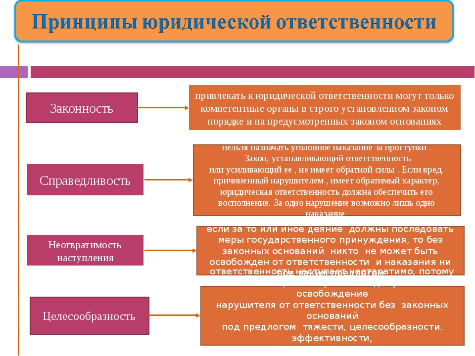План юридическая ответственность решу егэ