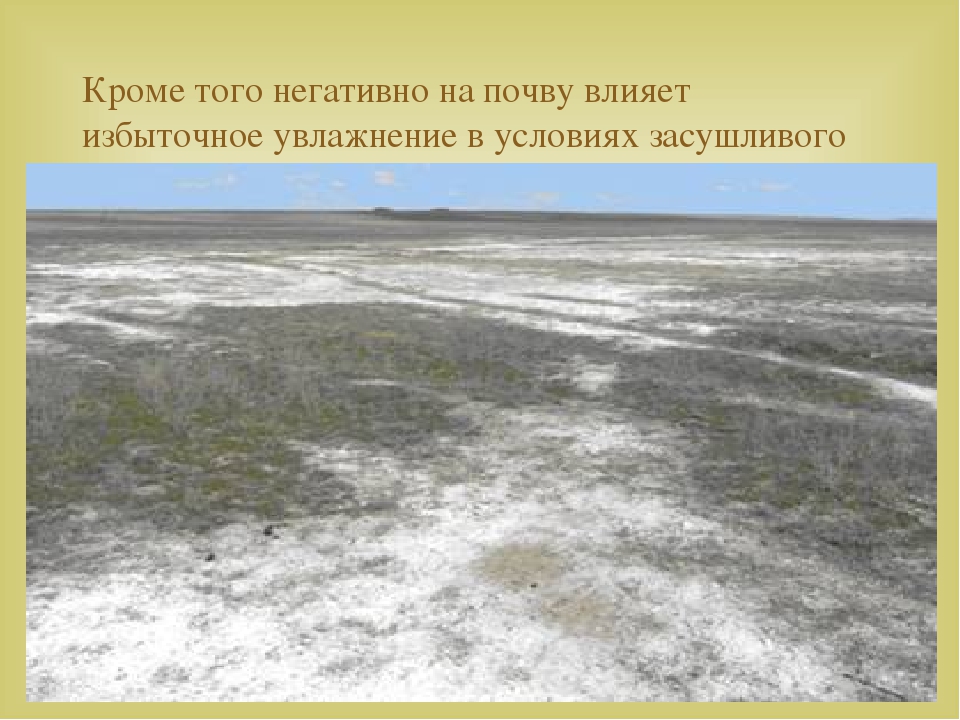 засоление и заболачивание почв. вторичное засоление почв. загрязнение почвы засоление почв. засоление почв характерно. засоление почв характерно.