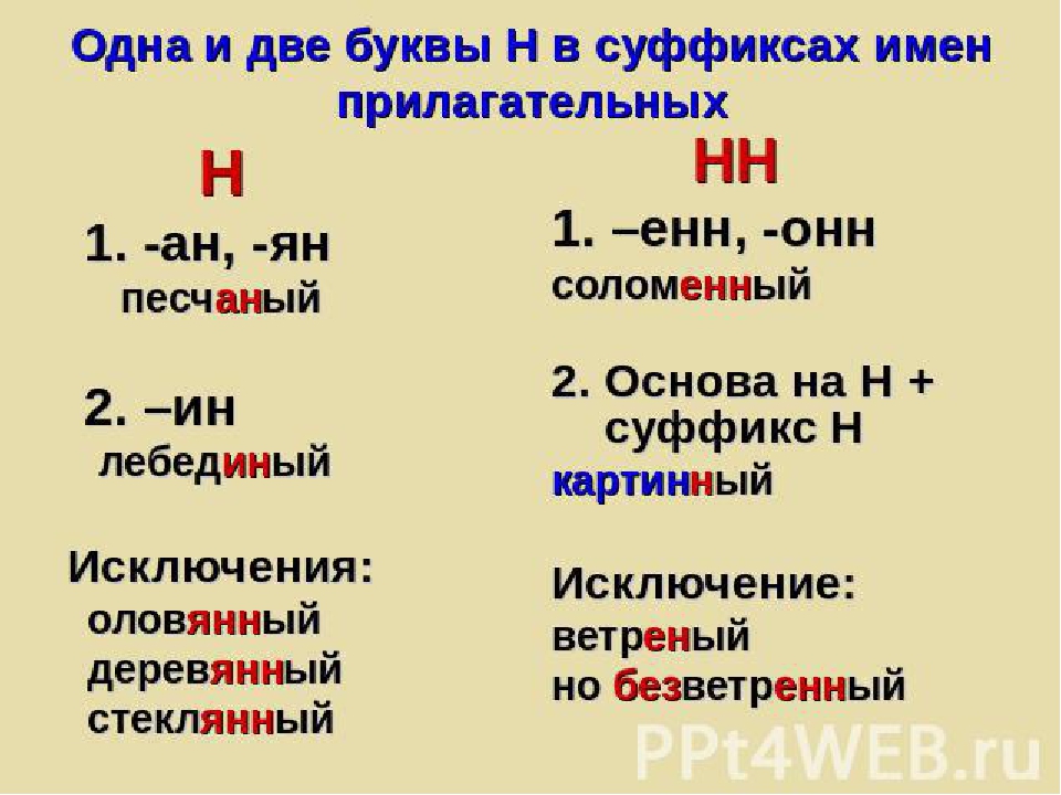 Одна н пишется в слове кожаный