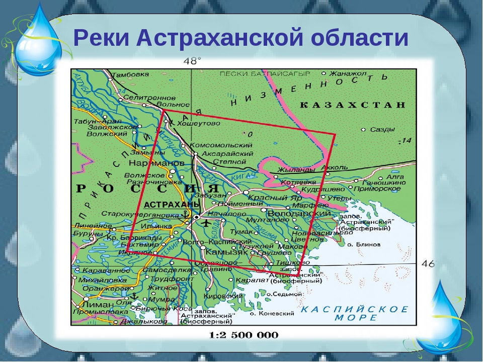 Богатства астраханской области