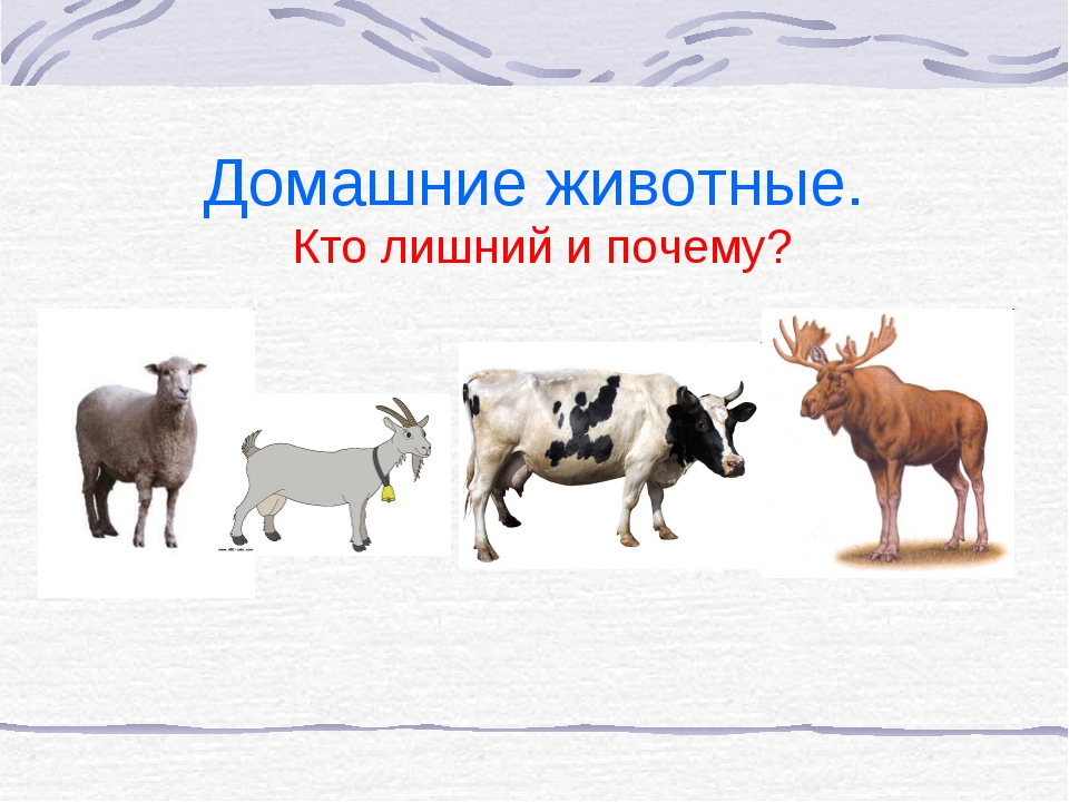hello_html_2c132a8e.jpg