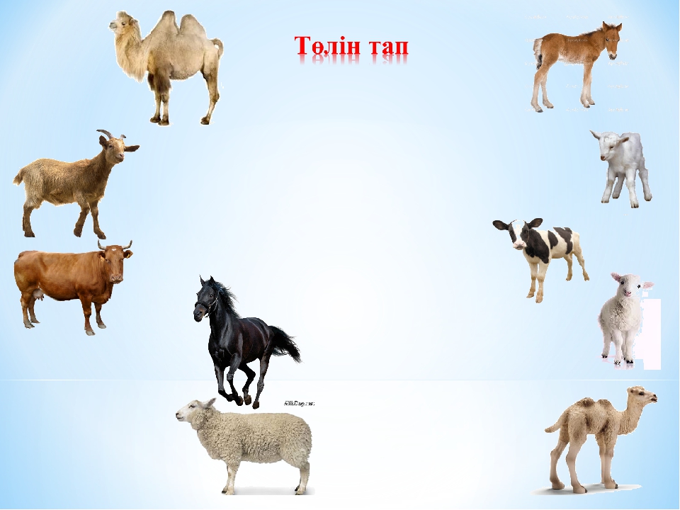 hello_html_71819d69.jpg