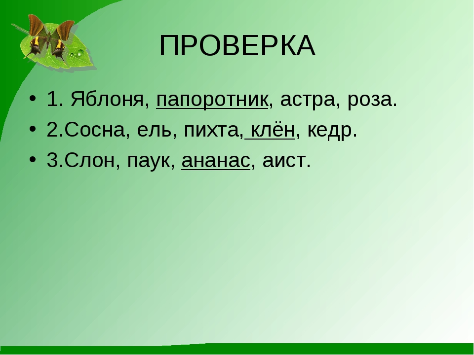 Эта удивительная природа 3 класс. Роза Астра клен Ромашка лишнее слово.