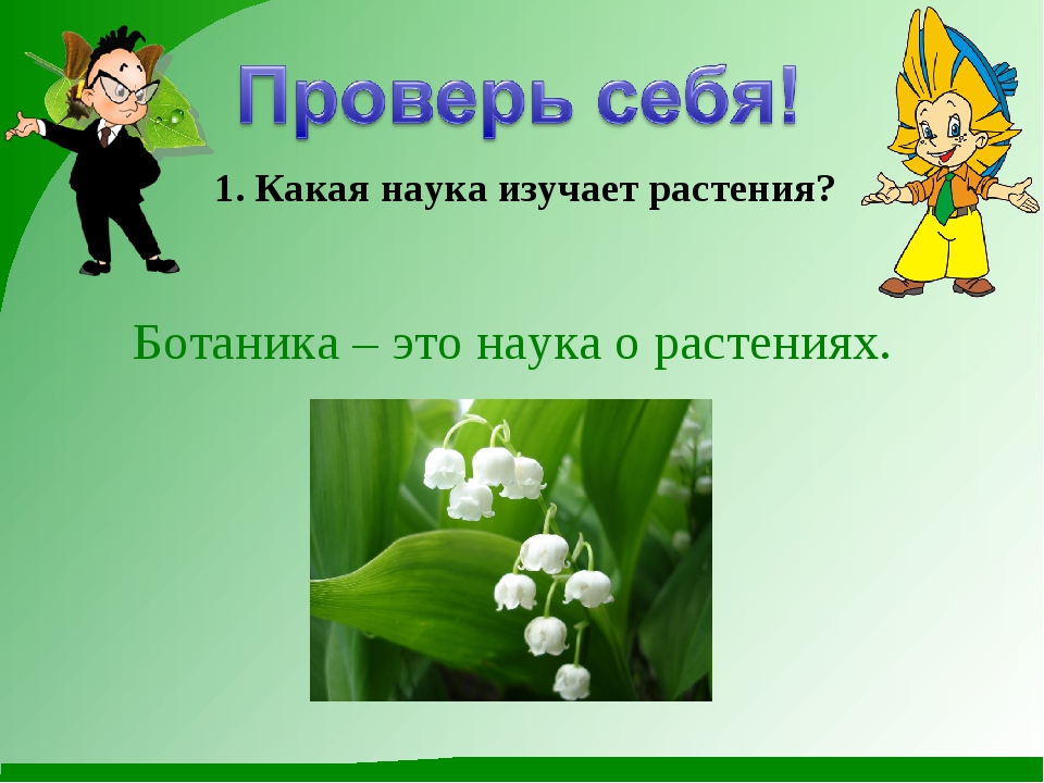 3 класс презентация эта удивительная природа