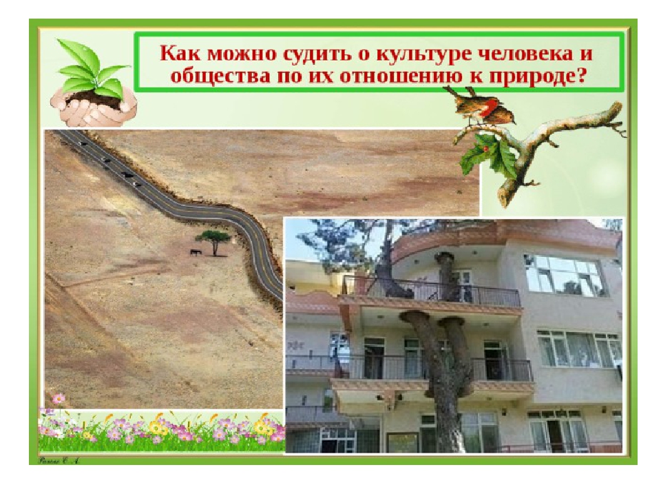 Однкнр 5 класс отношение к природе. Бережное отношение к природе 5 класс. Урок бережное отношение к природе 5 класс ОДНКНР. Можно судить о культуре и обществе по отношению к природе. Как судить о культуре человека и общества по их отношению к природе.