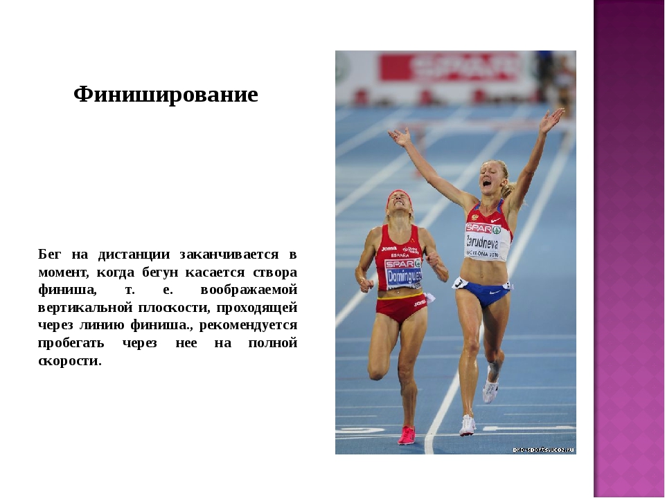 ������ Sp �������� �����������: ����.