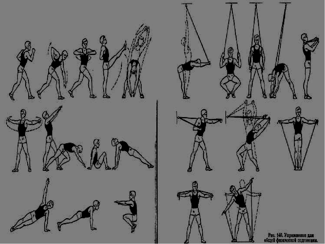 Презентация по физической культуре на тему \"Общая физическая ...