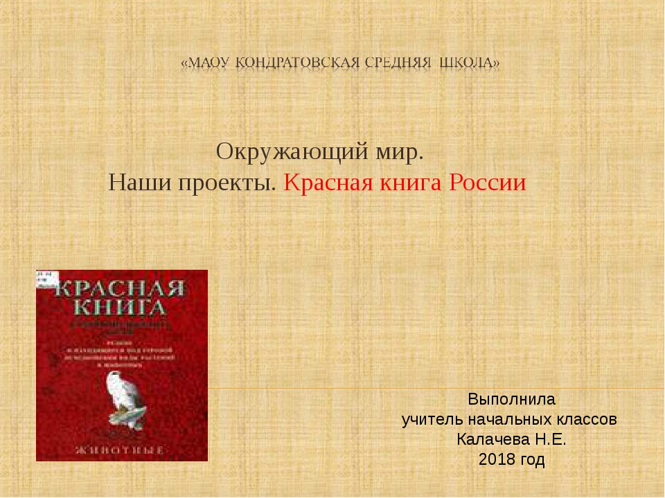 Проект россия 2 книга. Проект по окружающему миру красная книга России 4кл.. Презентация на тему красная книга. Презентация по окружающему миру красная книга. Проект красная книга России 4 класс.