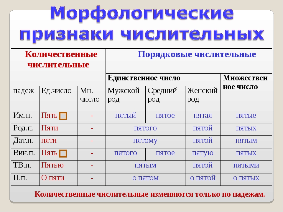 Склонение количественных и порядковых числительных. Количественные числительные изменяются по падежам. Количественные числительные изменяются только по падежам. Количественные имена числительные изменяются. Признаки числительного.