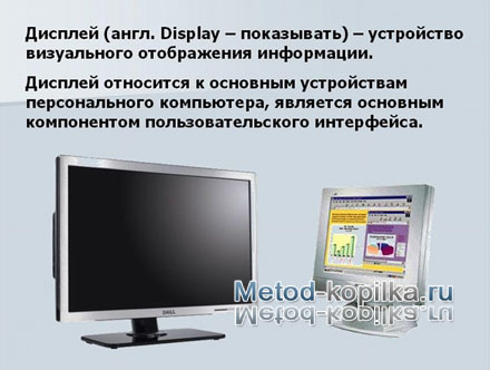 181.jpg